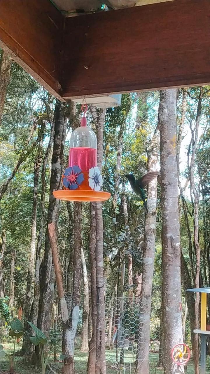 Chacara Rancho Paraiso Piraquara Exterior foto